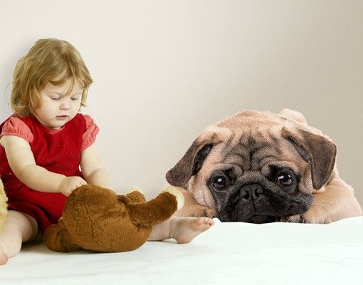 Børneværelse deco No.426 Cuddly Pug