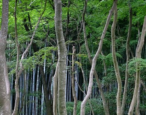 Flise klistermærker Japanese Forest