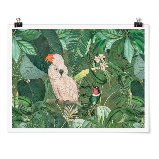Plakater kunsttryk Vintage Collage - Kakadu And Hummingbird