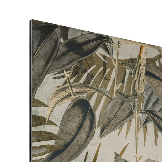 Billeder kunsttryk Vintage Collage - Toucan In The Jungle