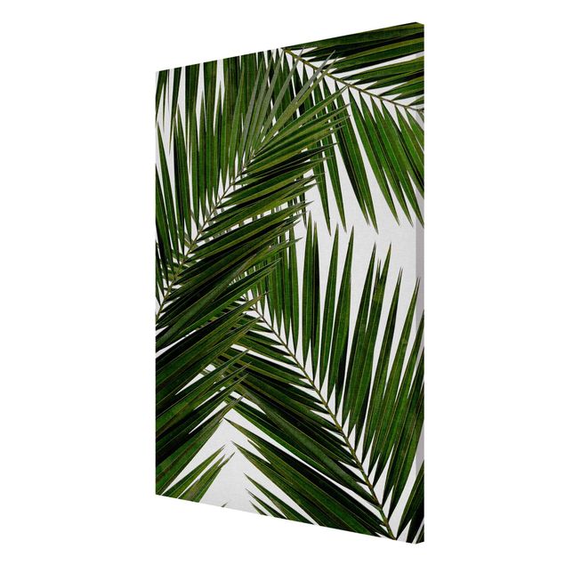 Magnettavler blomster View Through Green Palm Leaves