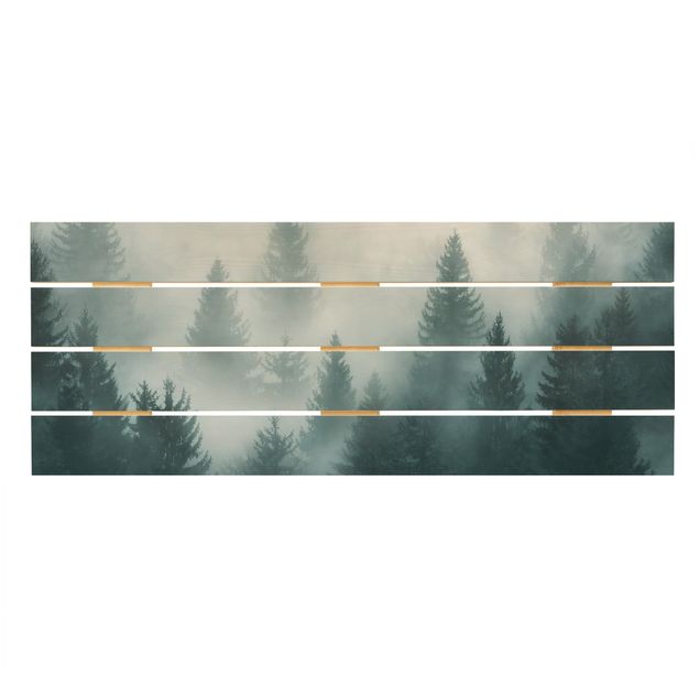 Prints på træ Coniferous Forest In Fog