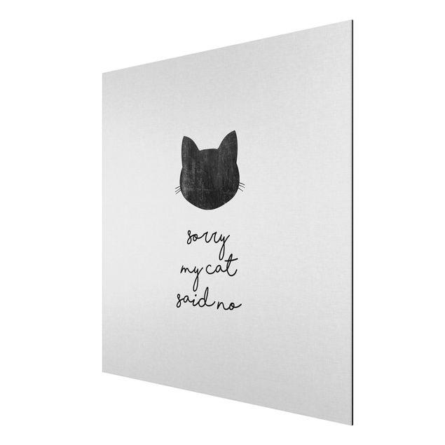 Billeder moderne Pet Quote Sorry My Cat Said No