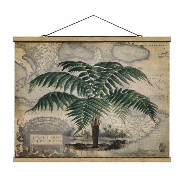 Billeder blomster Vintage Collage - Palm And World Map
