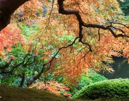 Selvklæbende folier Japanese Garden