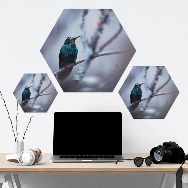 Hexagon Bild Forex - Kolibri im Winter