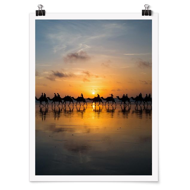 Plakater dyr Camels in the sunset