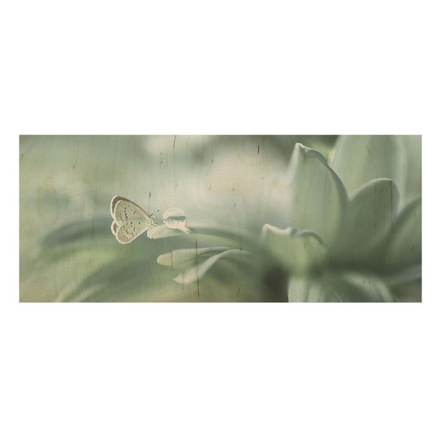 Prints på træ blomster Butterfly And Dew Drops In Pastel Green