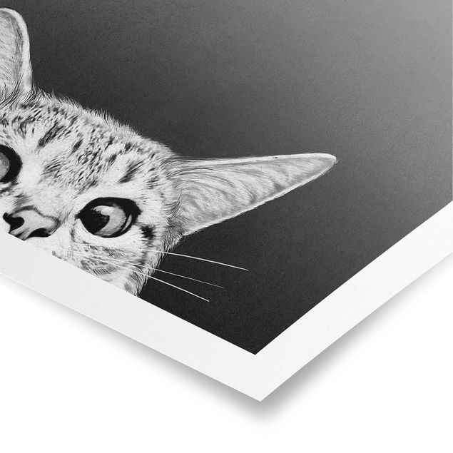 Billeder sort Illustration Cat Black And White Drawing