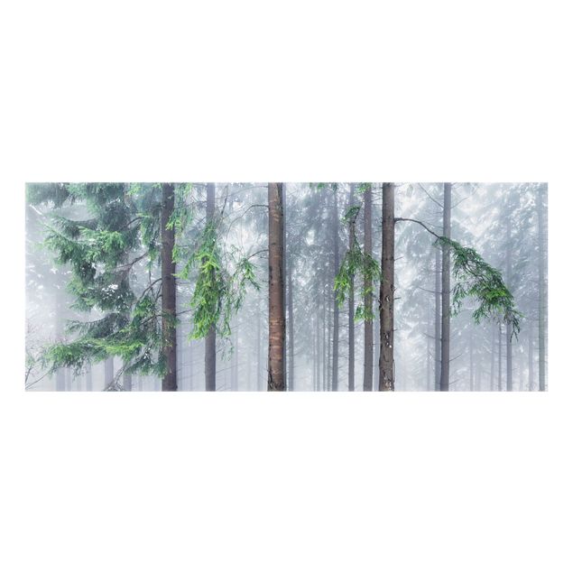Spritzschutz Glas - Nadelbäume im Winter - Panorama 5:2