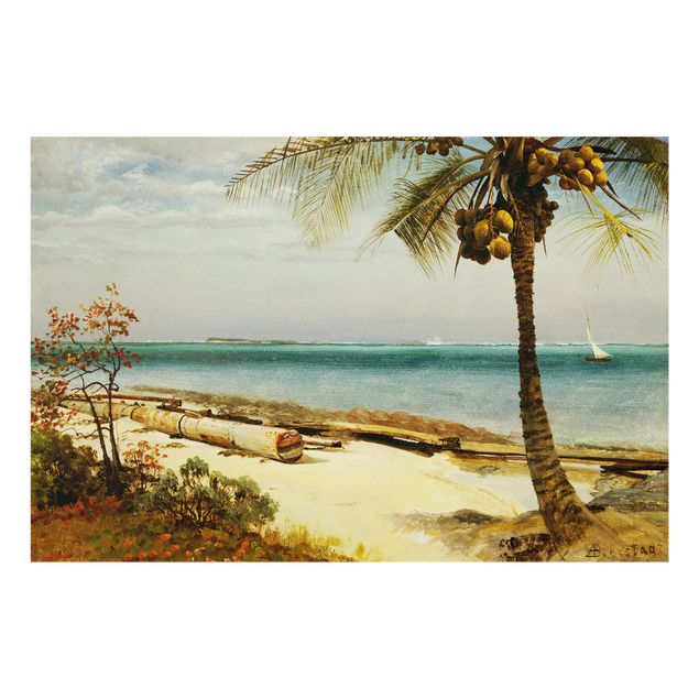 Stænkplader glas Albert Bierstadt - Coast In The Tropics