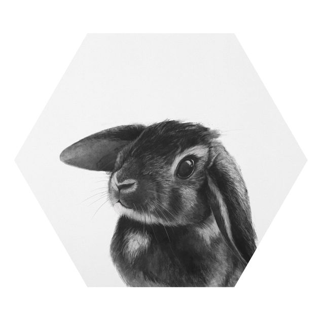 Billeder sort og hvid Illustration Rabbit Black And White Drawing