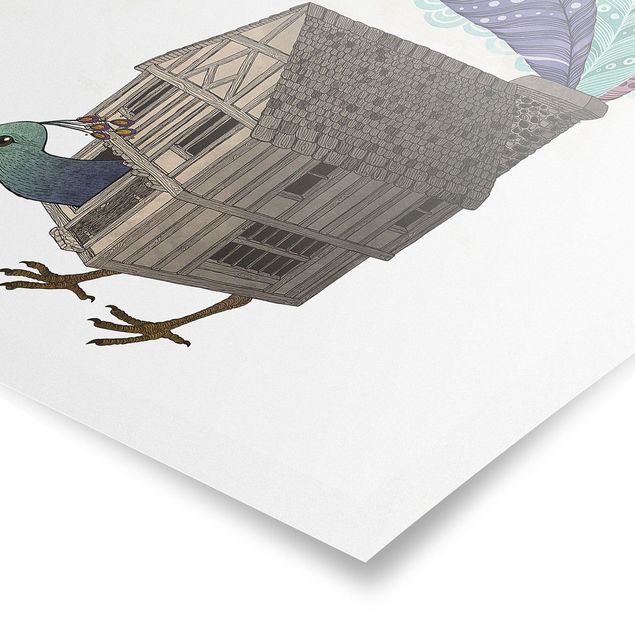 Billeder turkis Illustration Birdhouse With Feathers