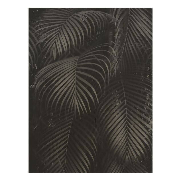 Prints på træ blomster Black Palm Fronds