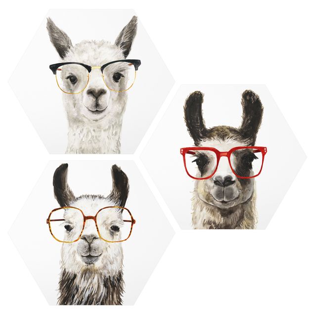Billeder dyr Cool IIlamas With Glasses Set I