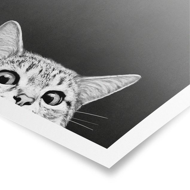 Plakater kunsttryk Illustration Cat Black And White Drawing