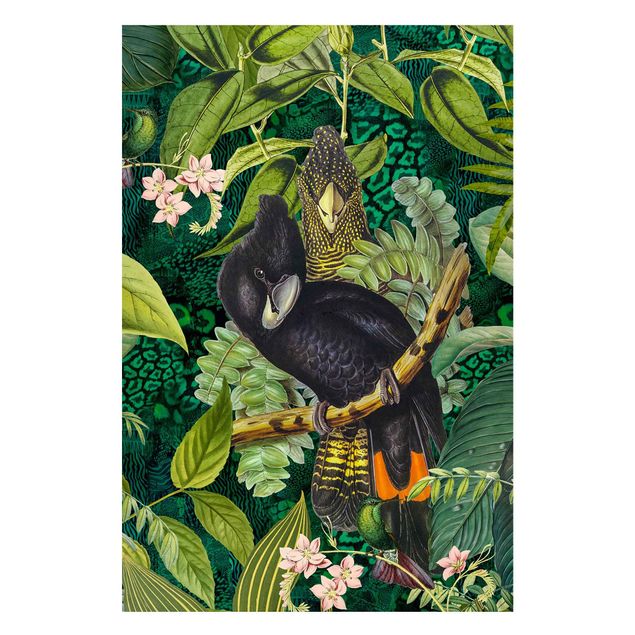 Billeder jungle Colourful Collage - Cockatoos In The Jungle