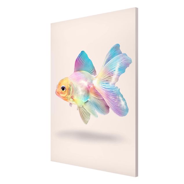 Magnettavler dyr Fish In Pastel