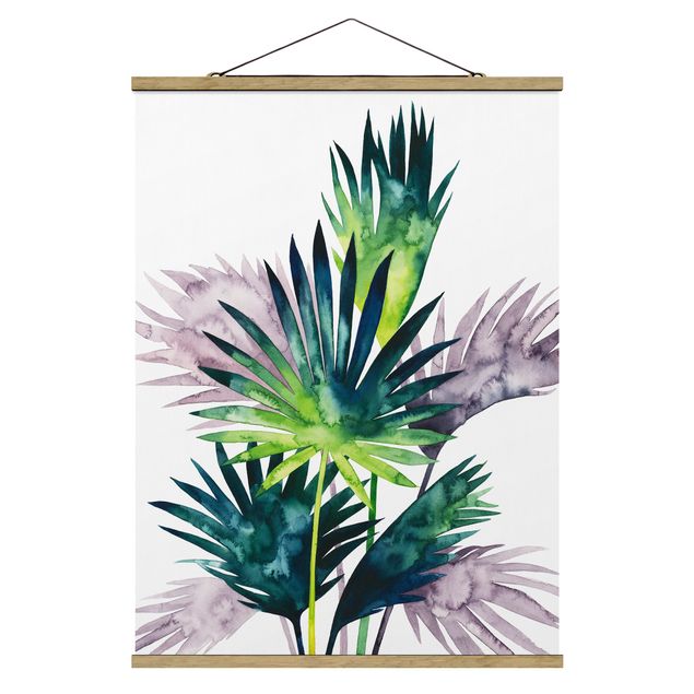 Billeder moderne Exotic Foliage - Fan Palm