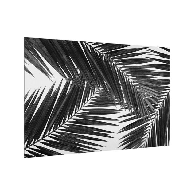 Stænkplader glas View Over Palm Leaves Black And White
