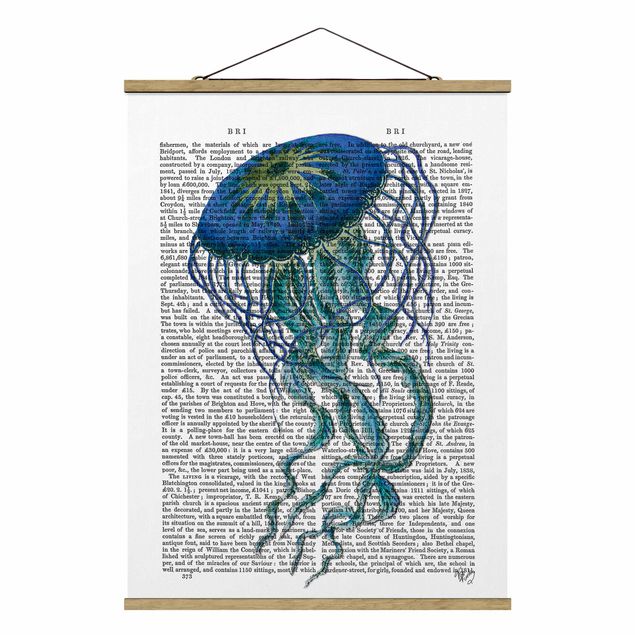 Billeder dyr Animal Reading - Jellyfish