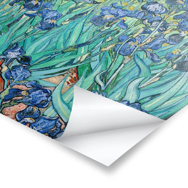 Billeder blomster Vincent Van Gogh - Iris