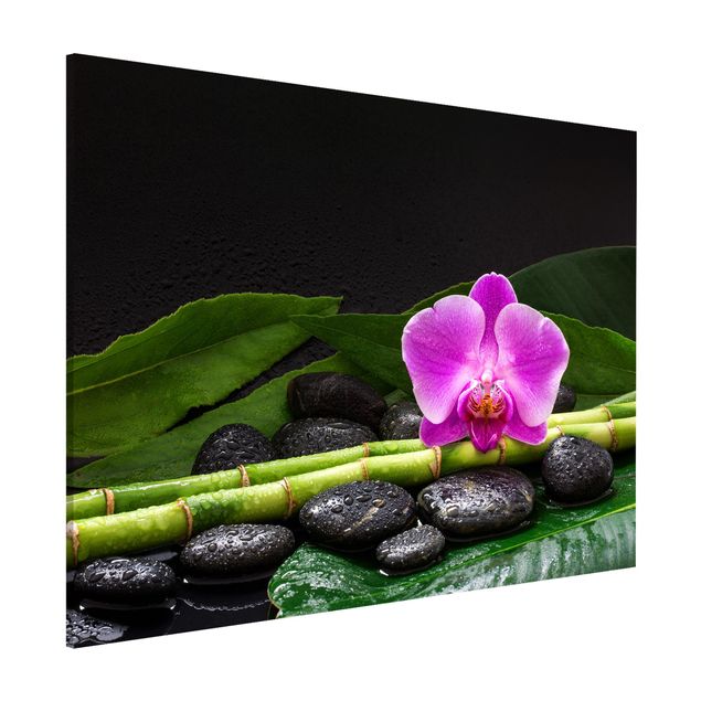 Billeder orkideer Green Bamboo With Orchid Flower