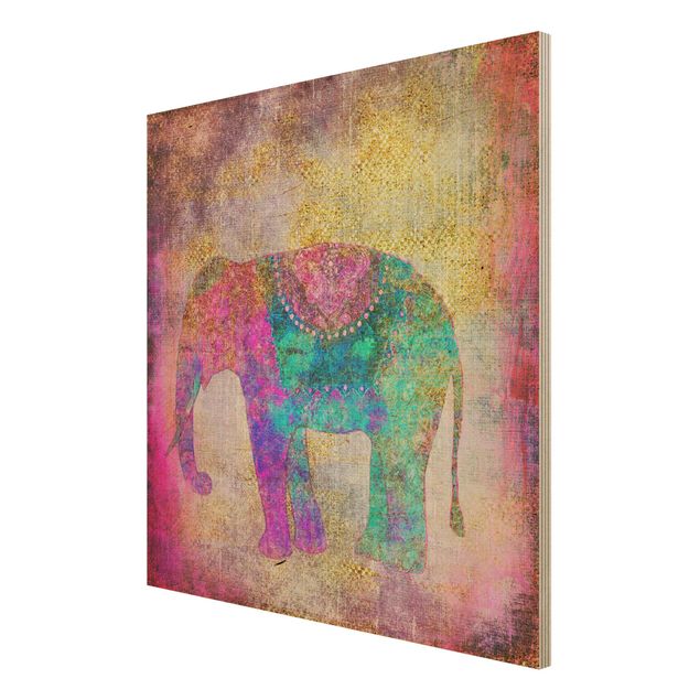 Billeder Colourful Collage - Indian Elephant