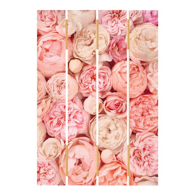 Prints på træ Roses Rosé Coral Shabby