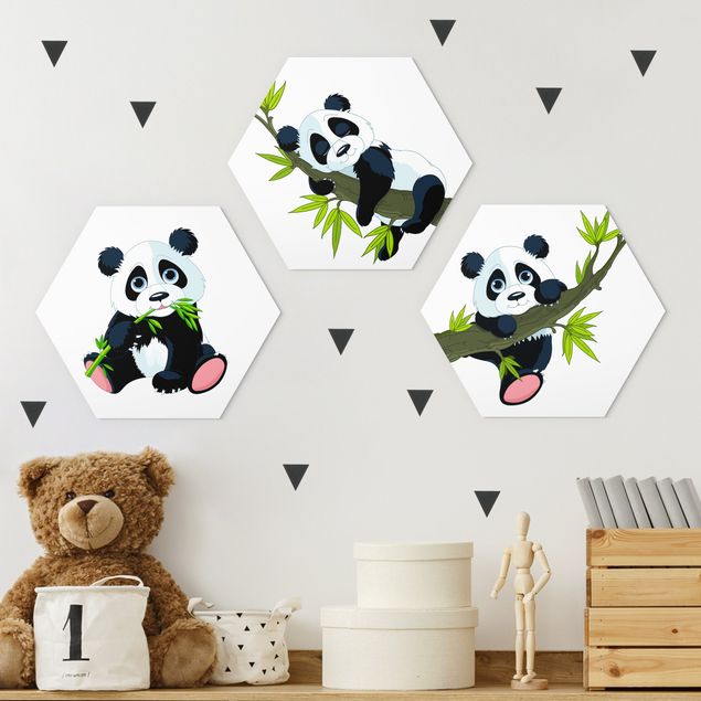 Billeder bjørne Panda set