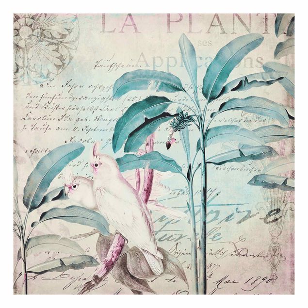 Billeder blomster Colonial Style Collage - Cockatoos And Palm Trees
