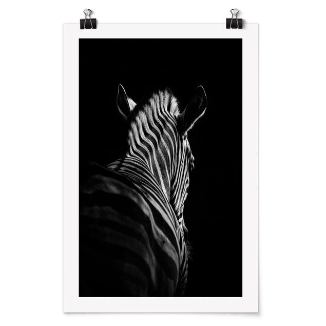Plakater dyr Dark Zebra Silhouette
