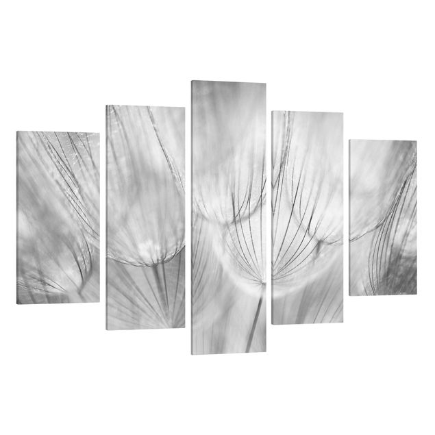 Billeder på lærred bjerge Dandelion Macro Shot In Black And White