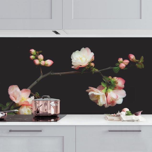 køkken dekorationer Blossoming Branch Apple Tree