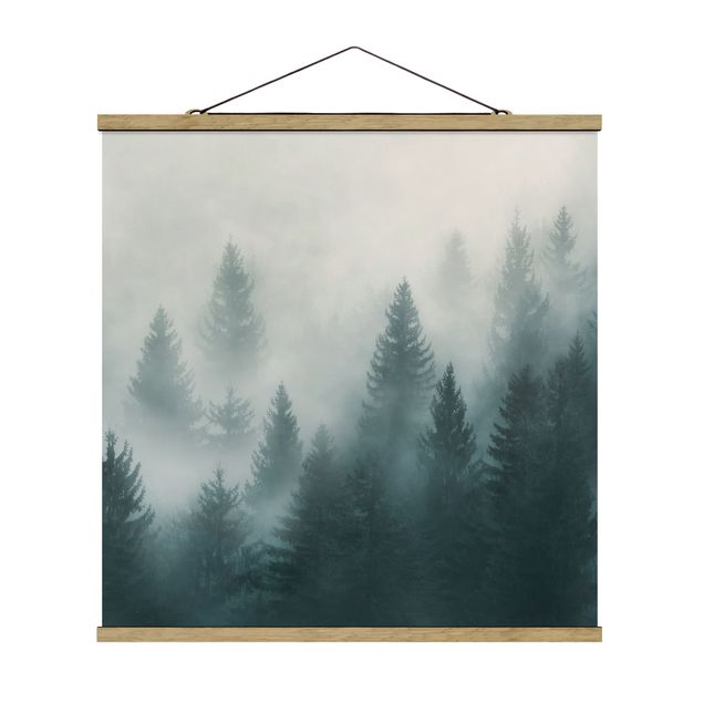 Billeder natur Coniferous Forest In Fog