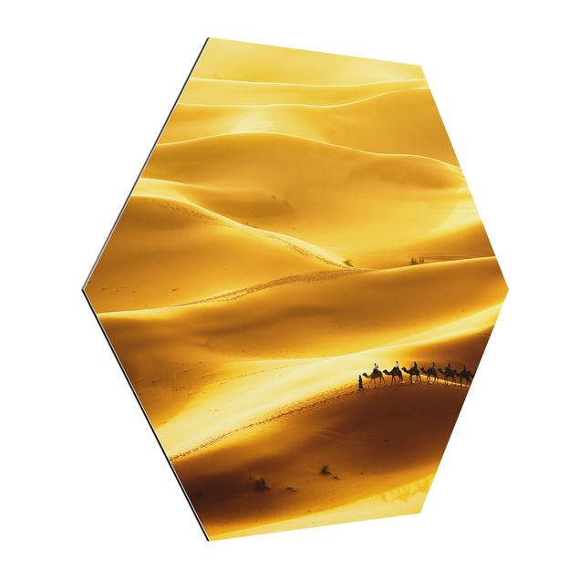 Billeder moderne Golden Dunes