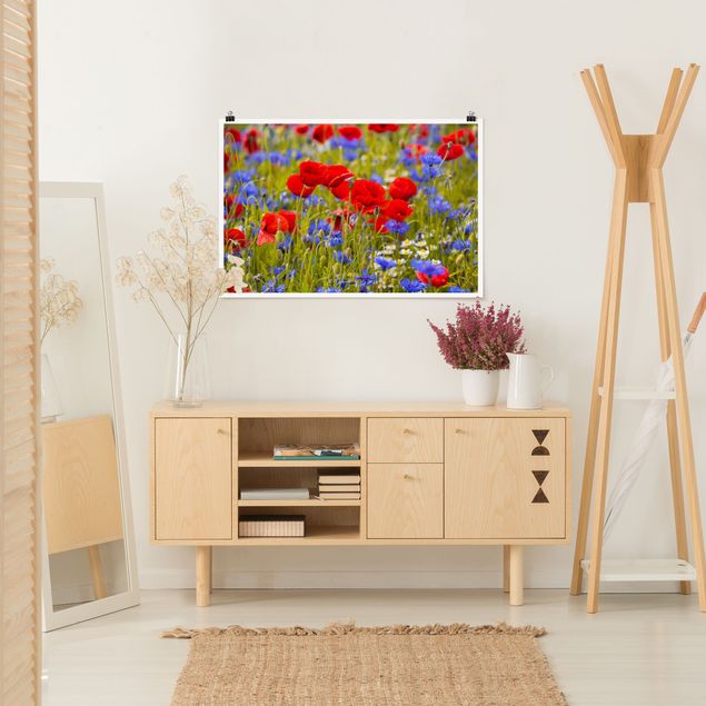 Plakater blomster Summer Meadow With Poppies And Cornflowers