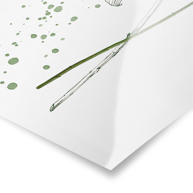 Plakater Botanical Watercolour - Lily