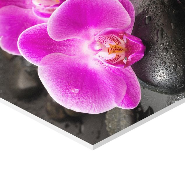 Billeder Pink Orchid Flowers On Stones With Drops