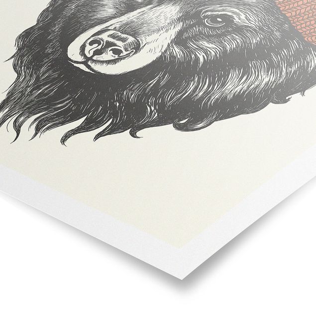 Plakater dyr Illustration Bear With Red Cap Drawing