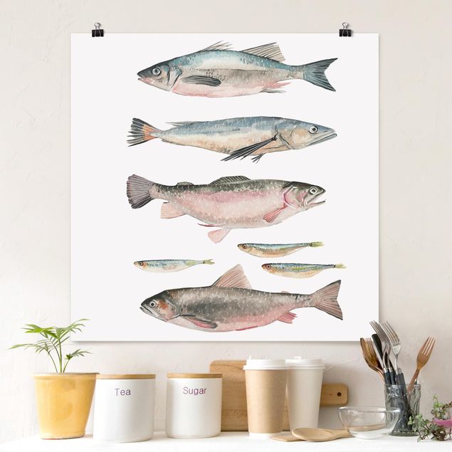 Billeder fisk Seven Fish In Watercolour I