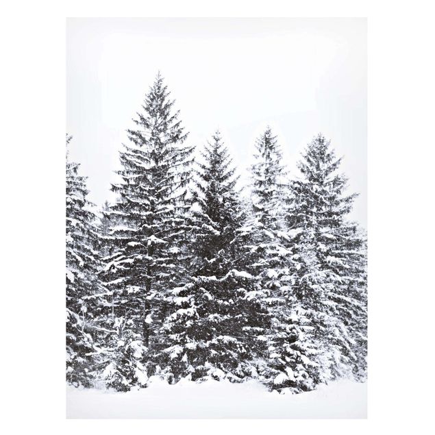 Billeder træer Dark Winter Landscape