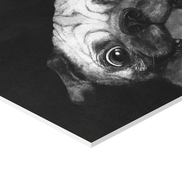 Billeder Laura Graves Art Illustration Dog Pug Painting On Black And White