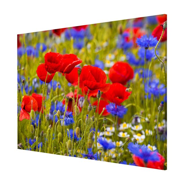 Magnettavler blomster Summer Meadow With Poppies And Cornflowers