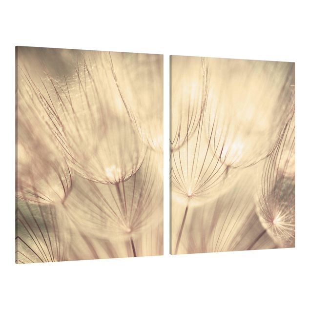 Billeder på lærred blomster Dandelions Close-Up In Cozy Sepia Tones