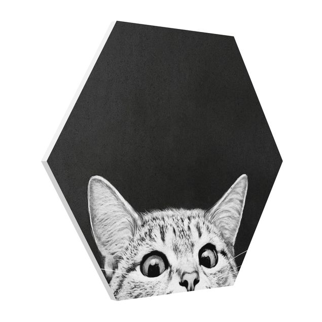 Billeder kunsttryk Illustration Cat Black And White Drawing
