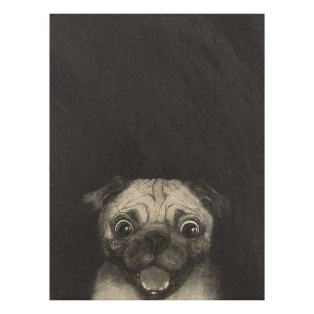 Billeder Illustration Dog Pug Painting On Black And White