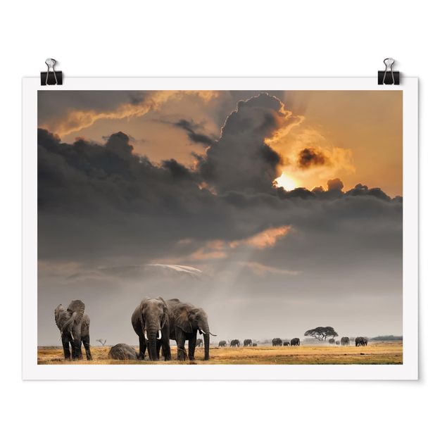 Plakater landskaber Elephants in the Savannah