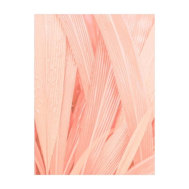 Tæpper Jungle Palm Leaves Light Pink