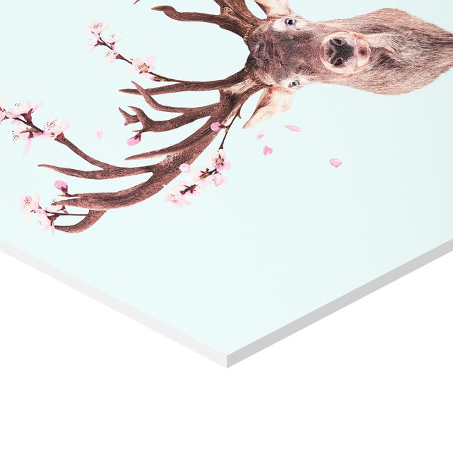 Billeder Jonas Loose Deer With Cherry Blossoms